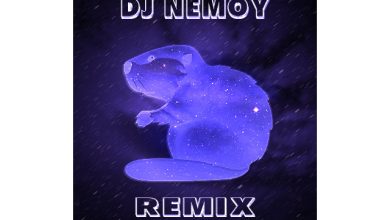 SLAVA SKRIPKA - БОБР (DJ Nemoy Remix)