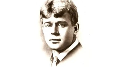Max Moon(Navai