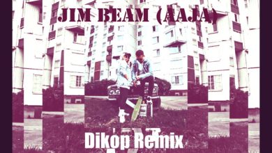 Raita feat. iriska - Jim Beam (Aaja) (Dikop Remix)
