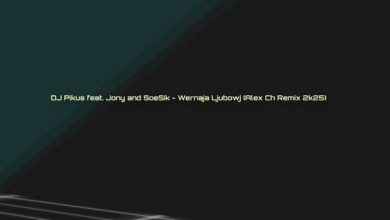 DJ Pikus feat. Jony and SoeSik - Wernaja Ljubowj (Alex Ch Remix 2k25)