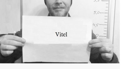 Vitel-KK8