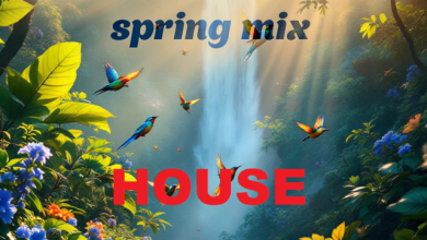Dj Roma Record - Warm Up Spring Mix (house)