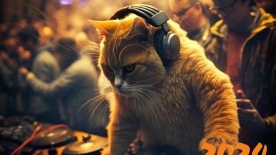 KANZEE - BEST of DRUM&BASS 2024 MIX