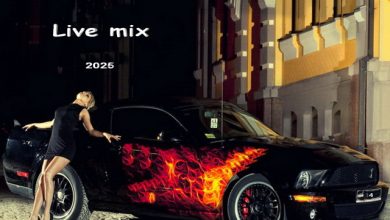 DJ Lex* ( Нерюнгри ) - Live mix 0024