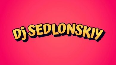 BUSHIDO ZHO - РЕВНУЮ (Dj SEDLONSKIY)