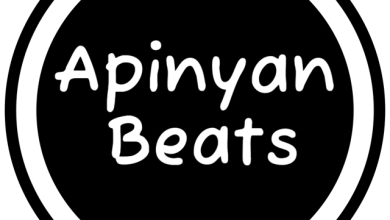 HOVOS - Лето (Apinyan Remix)