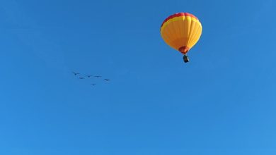 iB Company - Fly Higher