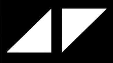 Avicii ft. AlunaGeorge vs Vargy - What Would I Change It To Reflection (Vargy Bootleg)