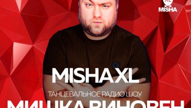 MISHA XL - MISHKA VINOVEN 343 - DFM LIVE MIX #343