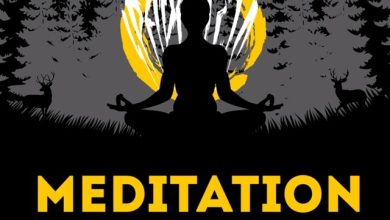 MS MUSIC - Meditation [iparallels records]