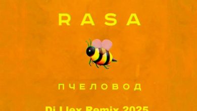 RASA - Пчеловод ( Dj Llex Extended Remix 2025 )