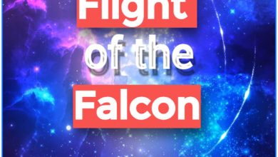 Flight of the Falcon - With the Dawn