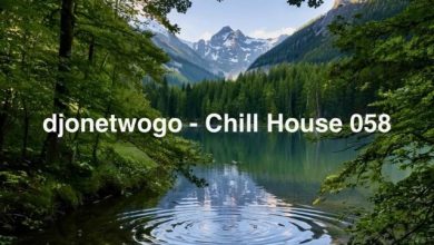 djonetwogo - Chill House 058