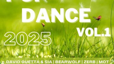 DJ HOT MAKER - POP DANCE 2025 VOL.1