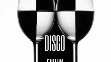 DJ Шмель-DISCO FUNK 2025