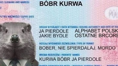 Бобр Курва Польски Альфабет