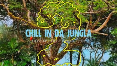 Kayla' Caryapadas mix - Chill in da Jungla 2