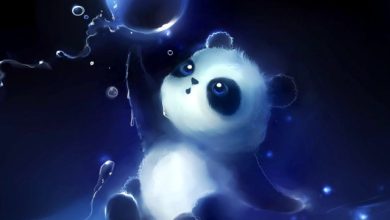 DJ Cry - DJ's Passion Mix 11