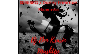 SEREBRO x Teddy Freeman - Мало тебя (Dj Den Krasin MashUp)