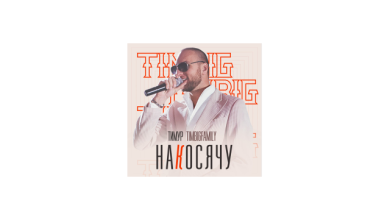 Тимур TIMBIGFAMILY - Накосячу (Sergey Hromov remix)