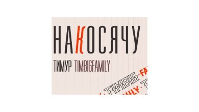 Тимур TIMBIGFAMILY - Накосячу (Maksim Gertz Remix)