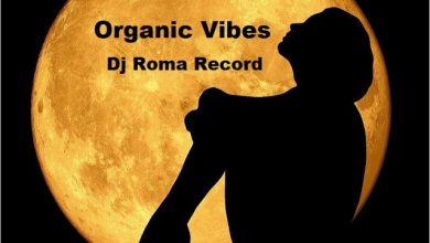 Dj Roma Record - Organic Vibes (spring 2025)
