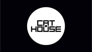 СЛУЧАЙНОСТИ НЕ СЛУЧАЙНЫ - CAT HOUSE STUDIO