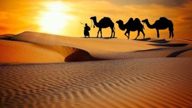 Dj Dima Sneg - Snow has fallen in the desert