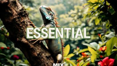 Fav Tracks Mix: ESSENTIAL || Uplifting Trance Mix by Jerbi