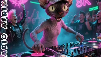 RADIO AFRIKA - DIFFUSIO #5 [Crazy OZZY Dj mix]