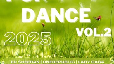 DJ HOT MAKER - POP DANCE 2025 VOL.2