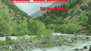 Dreaman - Small Homeland (The Meals Remix)