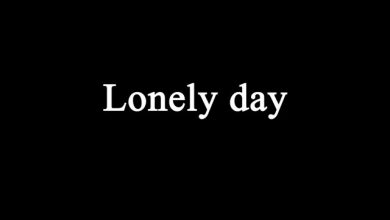 Lonely day - Enter