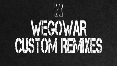 Богдан Титомир - Делай Как Я (WEGOWAR Custom Remix)