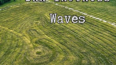 Dan InJungle - Waves