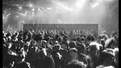 Great Lion - Anatomy Of Music (Episode 06. Mix 2025)