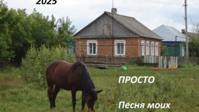 Просто. Песня моих правнуков (short vers)
