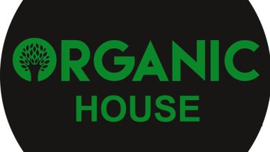 DJ Sirius Organik house mix 002