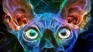 OKTOBER 2101 - AL Trance #1