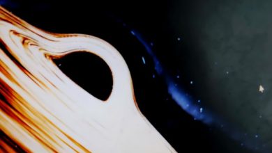 Virtual project Black hole