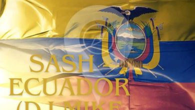 SASH - Ecuador(DJ Mike remix)