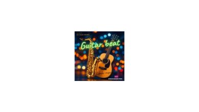Guitar beat (music) Dj Alex Shark