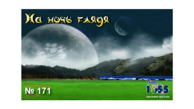 Vasily Jam - На ночь глядя #545