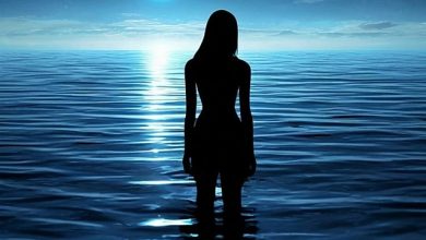 DJ Pavel M - The Sea is Silent