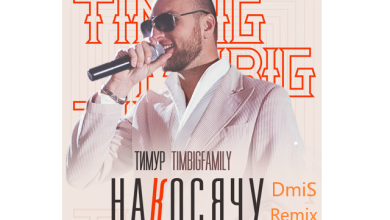 Тимур TIMBIGFAMILY - Накосячу (DmiS Remix)