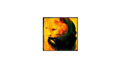 Rreejay - Show me a reason