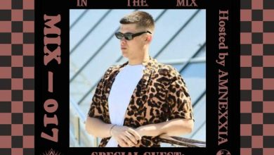 SIBANIUM IN THE MIX #17