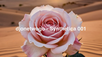 djonetwogo - Synthetica 001