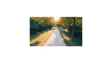 Dj Sergey Jax - Path To Summer (29.05.2025)