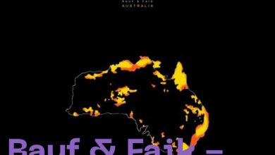 Rauf & Faik - Australia(DJ Mike remix)